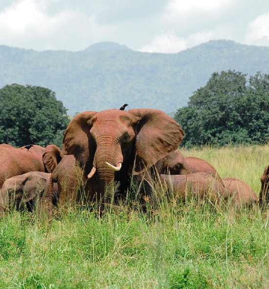 Kidepo Valley 3 Days Tour