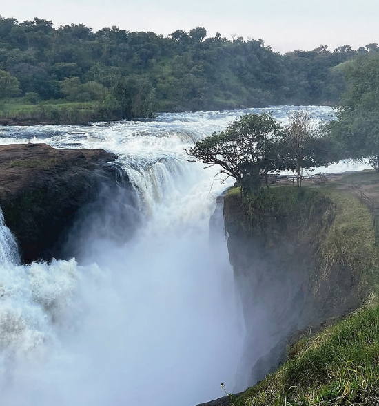 Murchison Falls 4 Days Tour